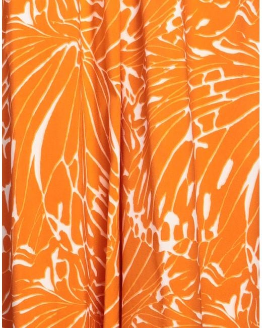 Windsor. Orange Midi Dress