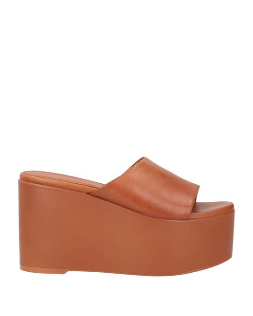 Alohas Brown Sandals
