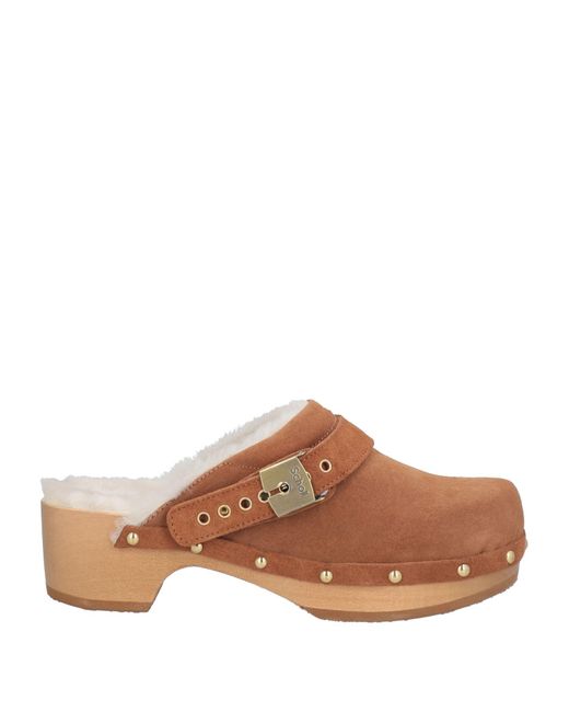 Scholl Brown Mules & Clogs
