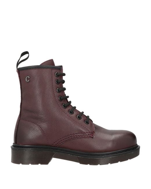 Cinzia Soft Brown Chocolate Ankle Boots Synthetisches Material