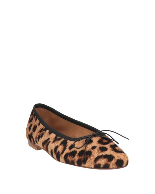 Mansur Gavriel Brown Ballet Flats