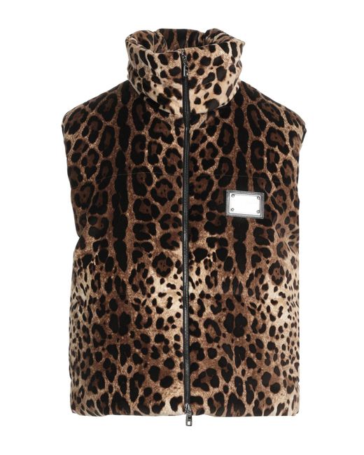 Dolce & Gabbana Brown Vest