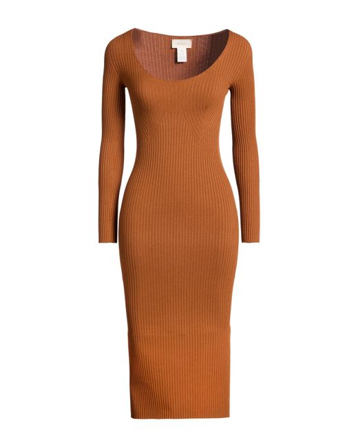 ViCOLO Brown Midi Dresses