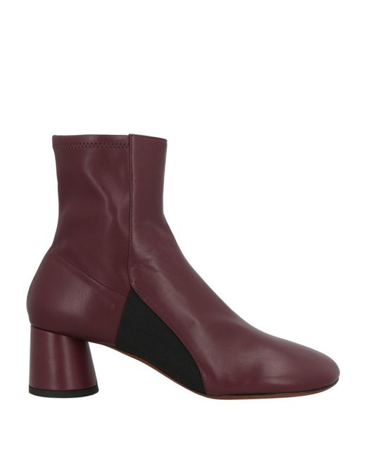 Proenza Schouler Purple Ankle Boots