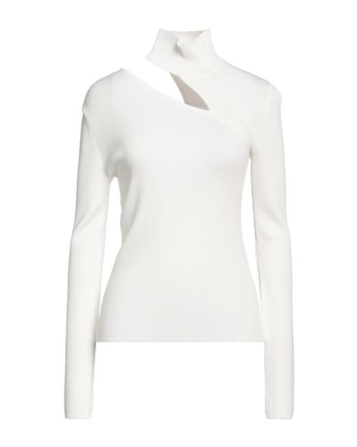 BCBGMAXAZRIA White Turtleneck