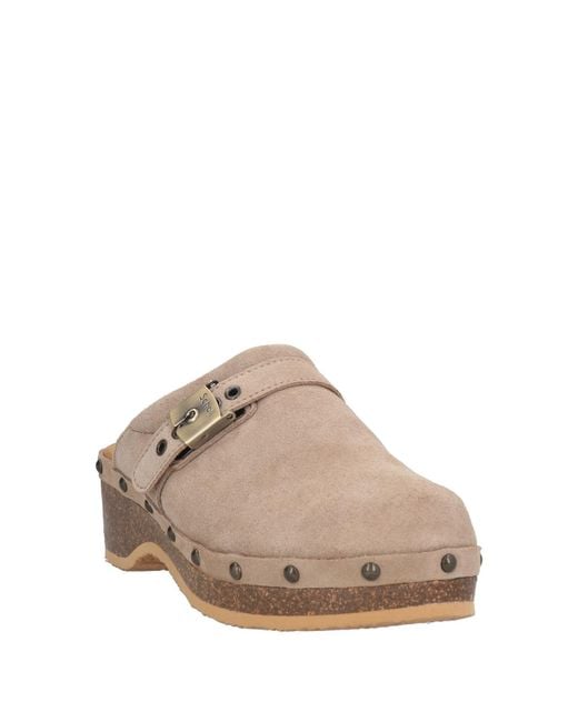 Scholl Brown Mules & Clogs
