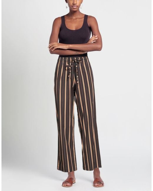 Siedres Brown Trouser