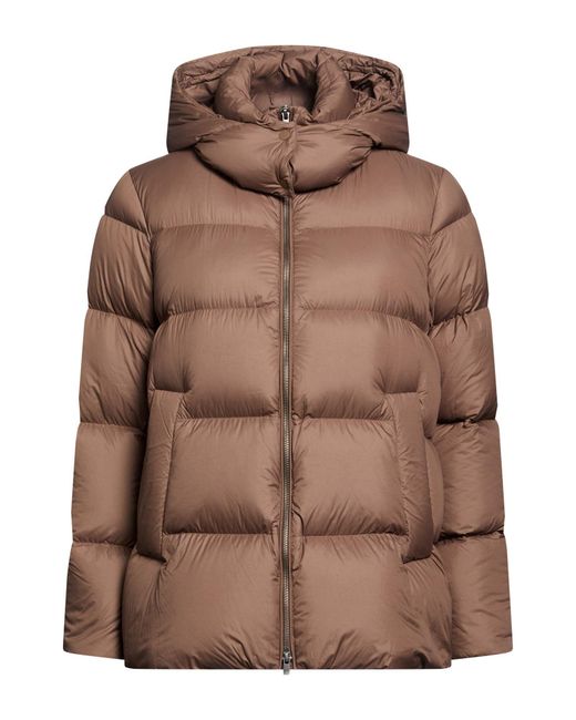 JNBY Brown Puffer