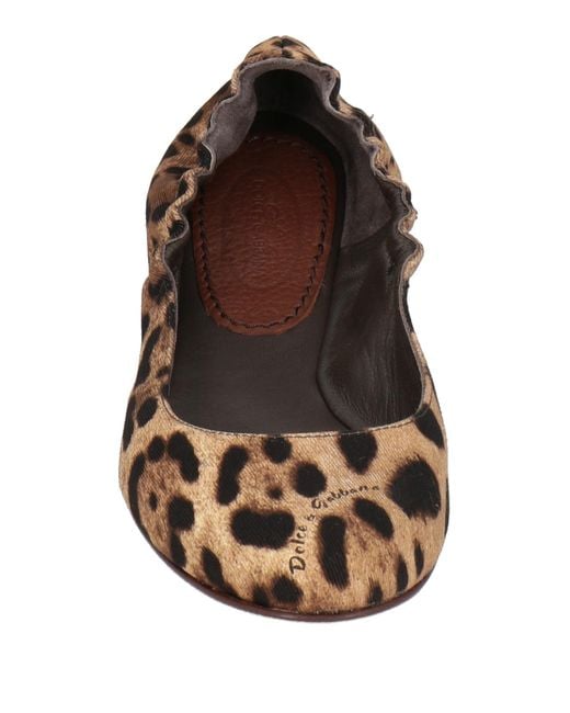 Dolce & Gabbana Brown Ballet Flats