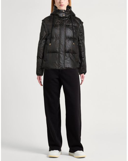 Doudoune Plumes Ou Synthétique Just Cavalli en coloris Black