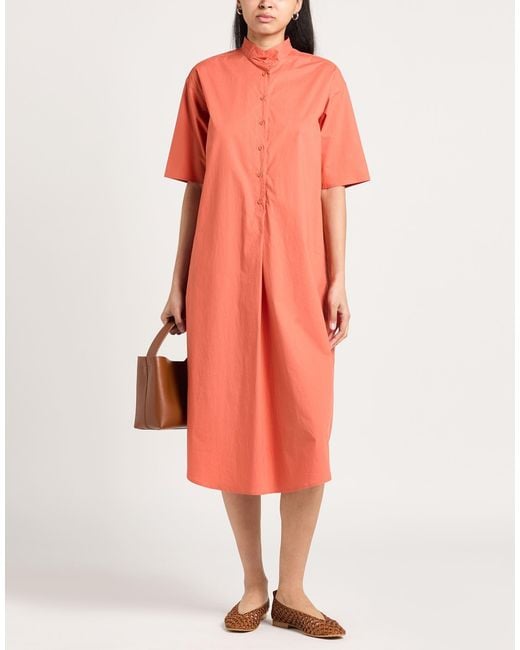 Cristina Bonfanti Pink Midi Dress Cotton, Elastane