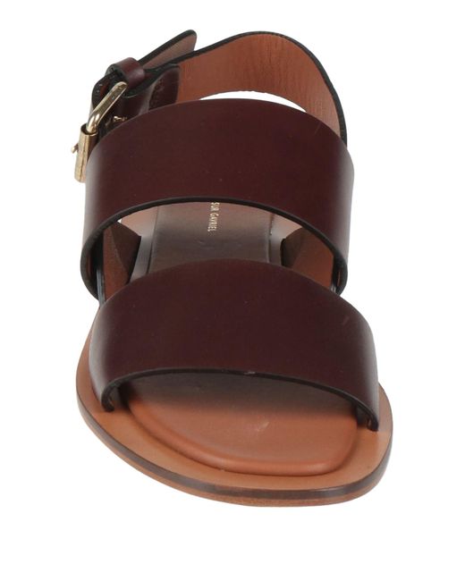 Mansur Gavriel Brown Sandals