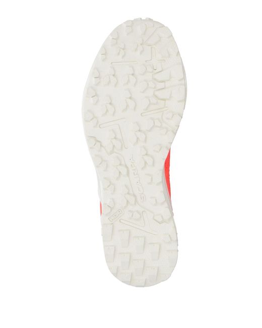 SCARPA Pink Trainers for men