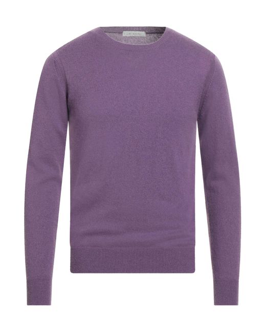 Diktat Purple Jumper for men