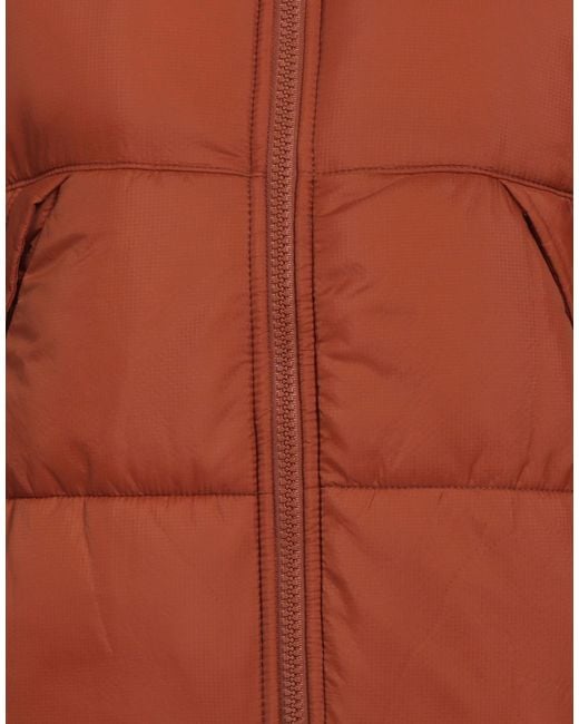 Dickies Brown Puffer