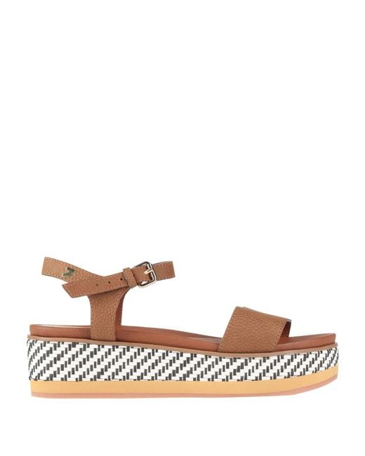 Gioseppo Brown Sandals