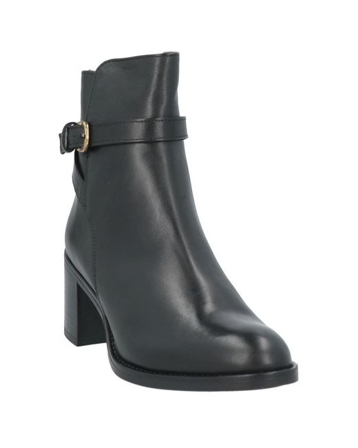 Stivaletti di Minelli in Black