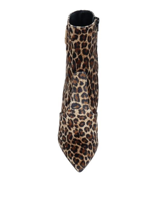 Roberto Cavalli Brown Ankle Boots