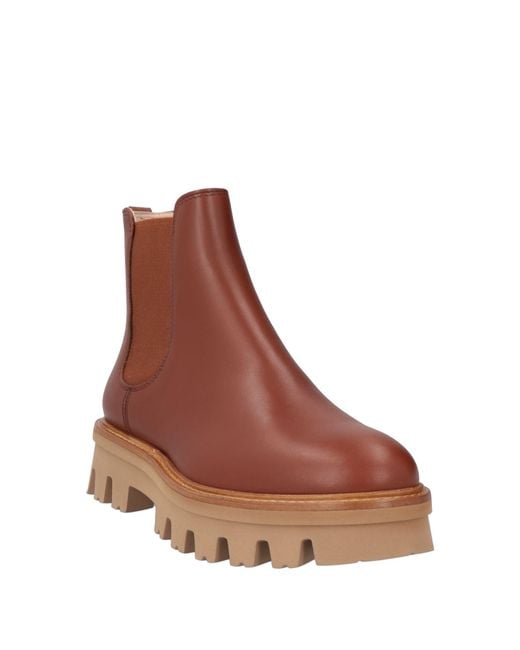 Agl Attilio Giusti Leombruni Brown Ankle Boots