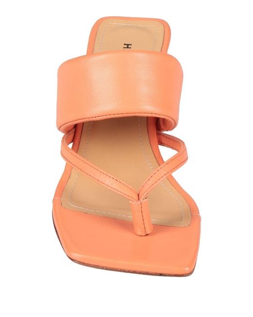 Halmanera Pink Thong Sandal