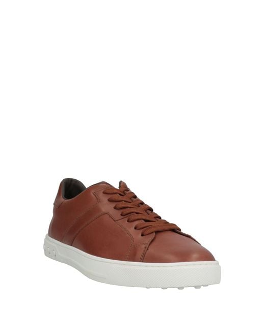 Tod's Brown Sneakers for men