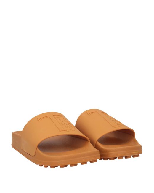 Tod's Brown Sandals