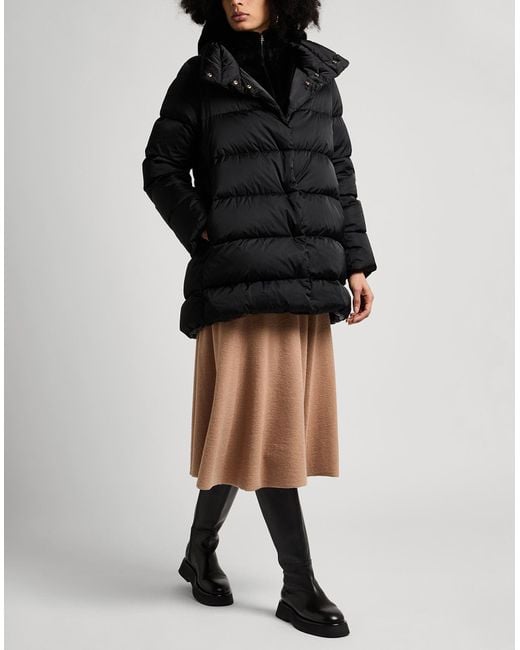 Herno Black Puffers