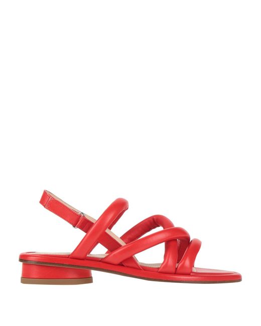 Sandali di Agl Attilio Giusti Leombruni in Red