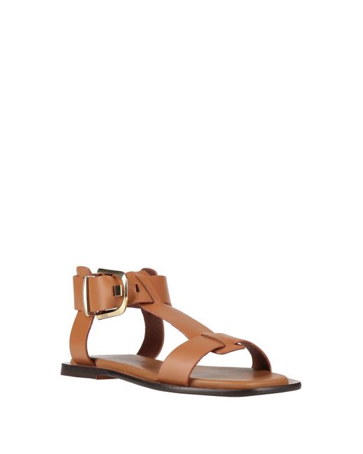 Bibi Lou Brown Sandals