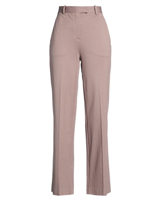 Circolo 1901 Gray Pants Cotton, Elastane