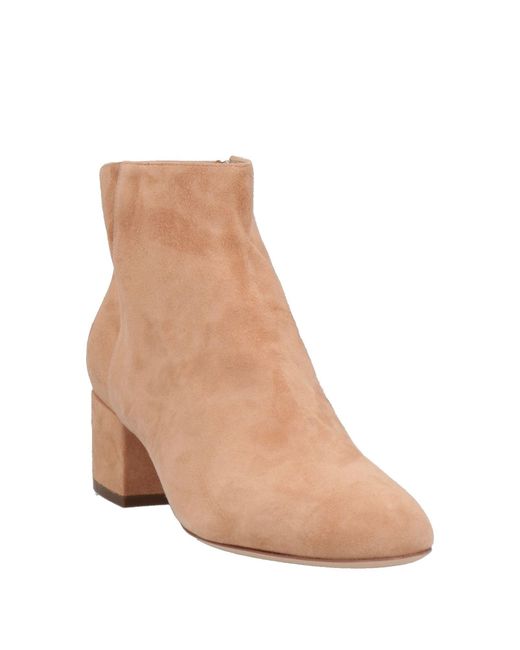 Sergio Rossi Brown Ankle Boots