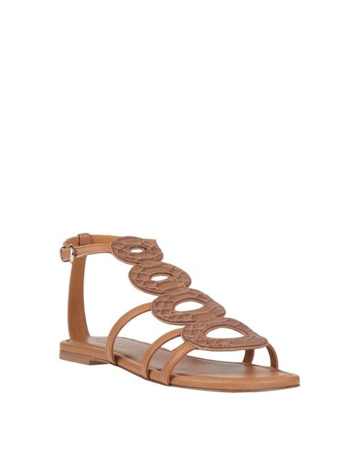 Baldinini Brown Sandale