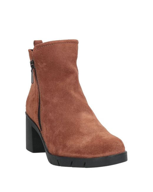 Botines De Caña Alta The Flexx de color Brown
