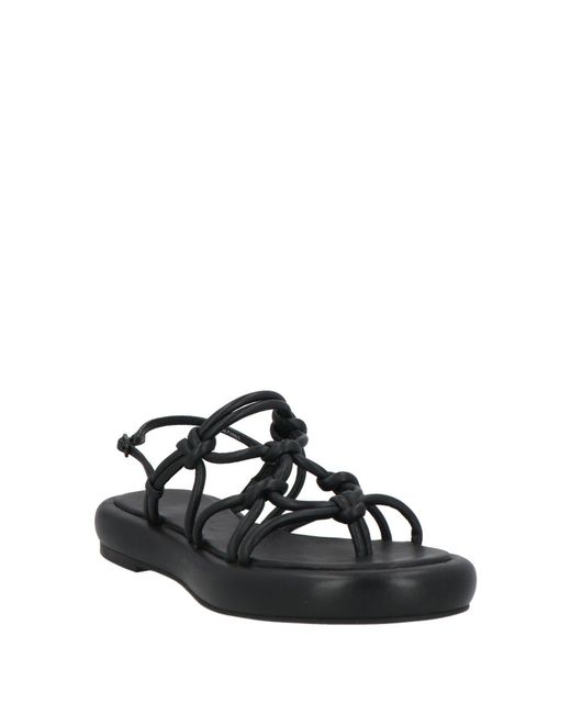 STUDIO AMELIA Black Sandals Leather