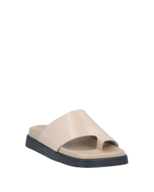 Alohas White Thong Sandal
