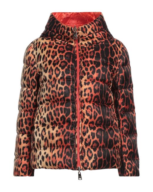 No Secrets Red Puffer
