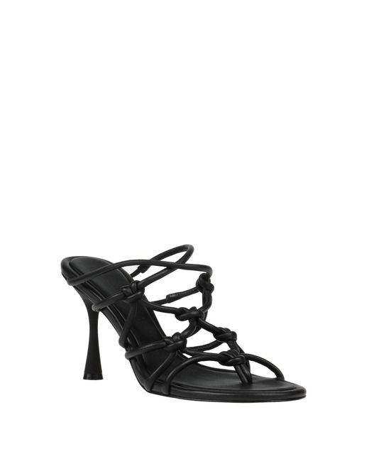 STUDIO AMELIA Black Thong Sandal