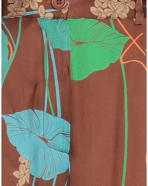 Dixie Brown Pants Viscose