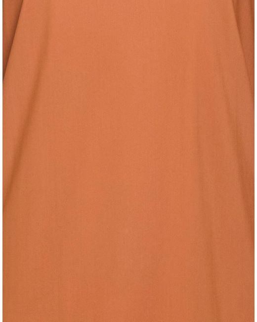 Maliparmi Brown Top Polyamide, Elastane