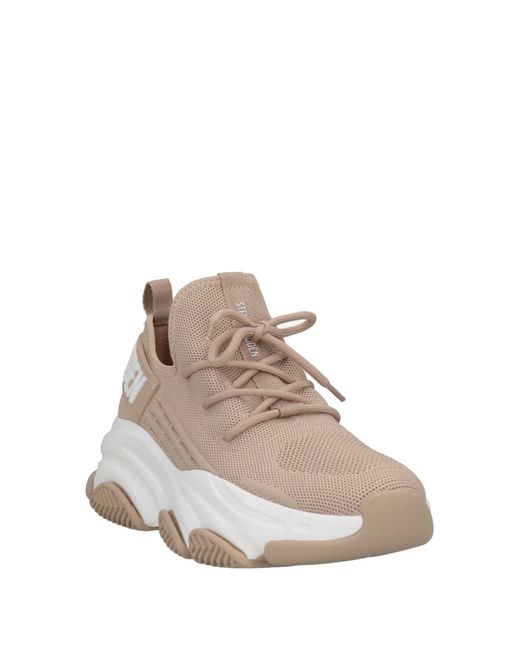 Steve Madden Gray Trainers