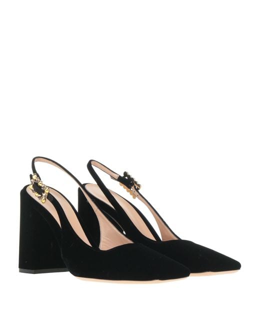 Gianvito Rossi Black Pumps Textile Fibers