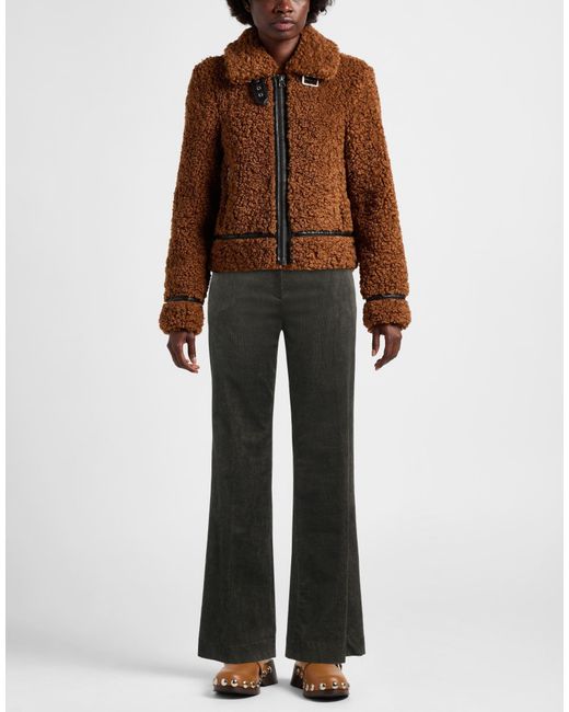 Antonelli Gray Trouser