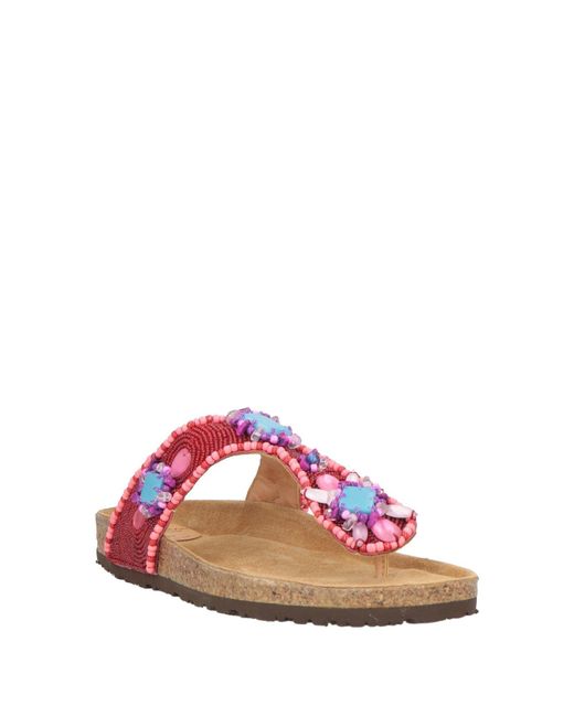 Maliparmi Pink Thong Sandals