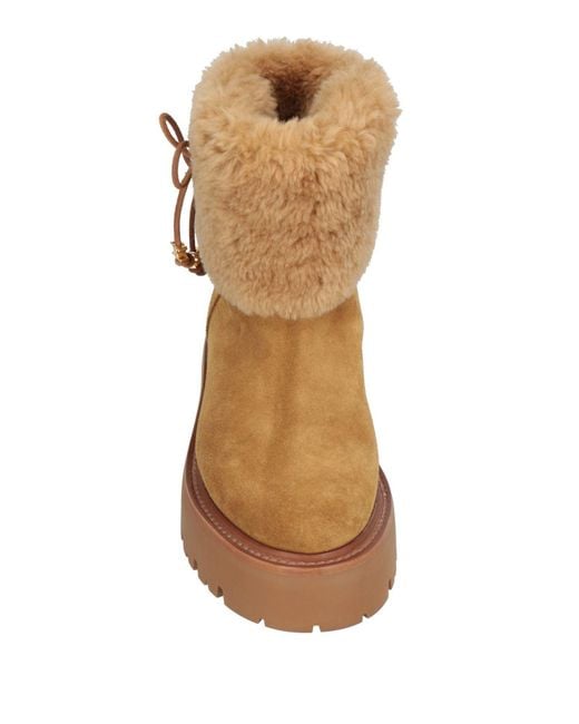Céline Brown Ankle Boots