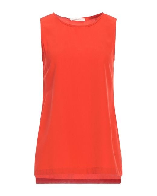 Maliparmi Red Top