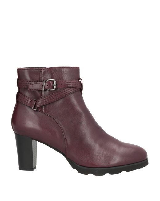 Cinzia Soft Purple Ankle Boots Leather