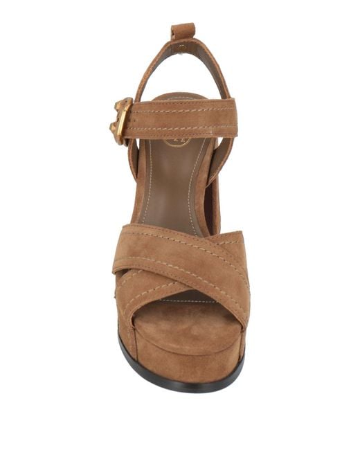 Ash Brown Sandals