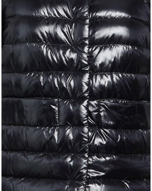 Herno Black Puffers
