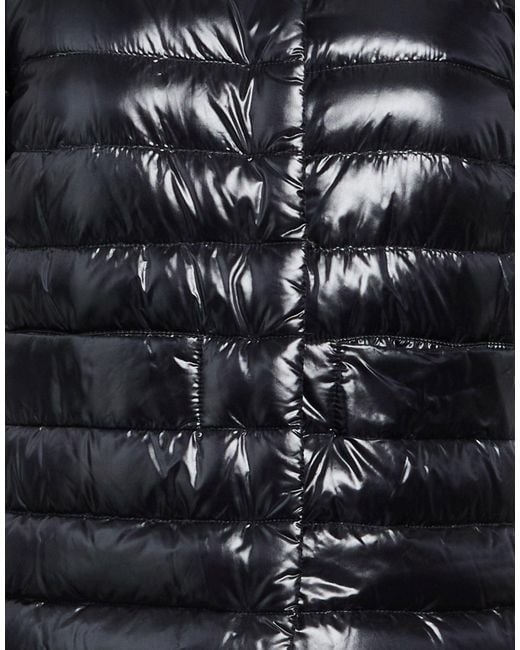 Herno Black Puffers