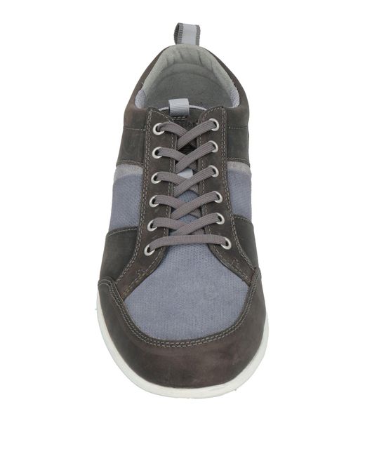 Timberland Gray Trainers for men